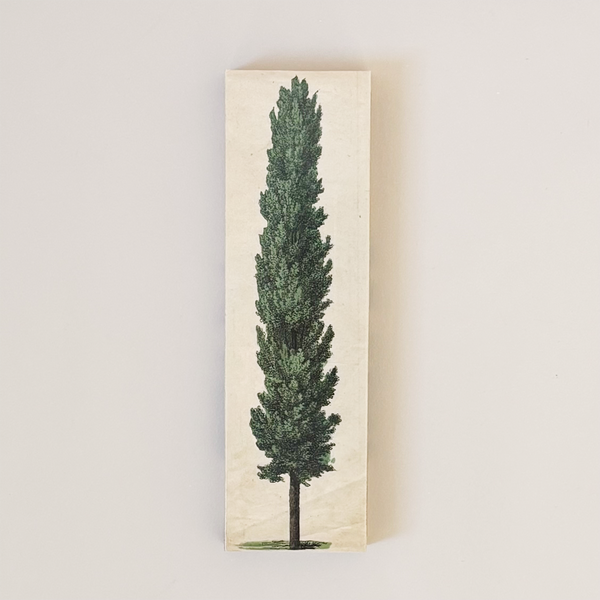 Tall Trees Matches