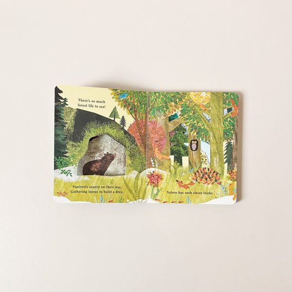 Home: A Peek Through Board Book