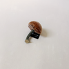 Silk Velvet Mushroom Spice