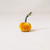 Silk Velvet Pumpkin Carrot