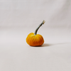 Silk Velvet Pumpkin Carrot