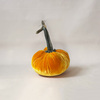 Silk Velvet Pumpkin Carrot
