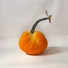 Silk Velvet Pumpkin Carrot