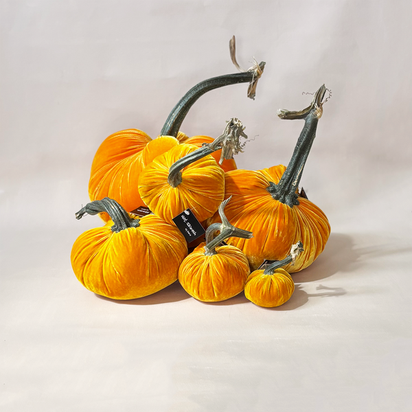 Silk Velvet Pumpkin Carrot