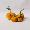 Silk Velvet Pumpkin Carrot