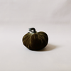 Silk Velvet Pumpkin Celery