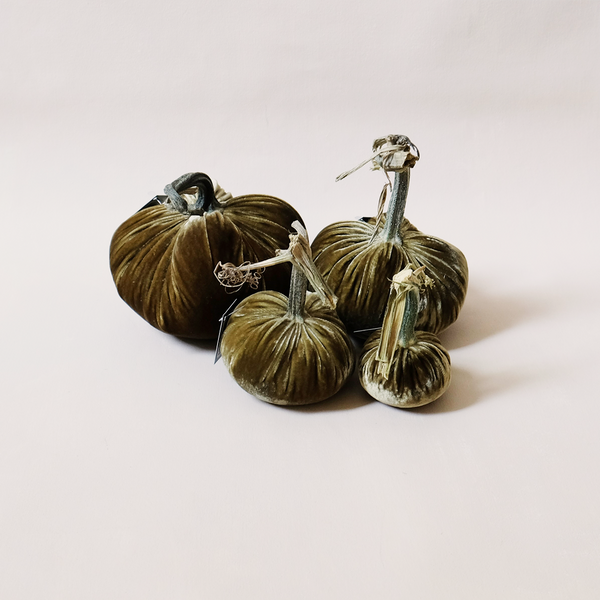 Silk Velvet Pumpkin Celery