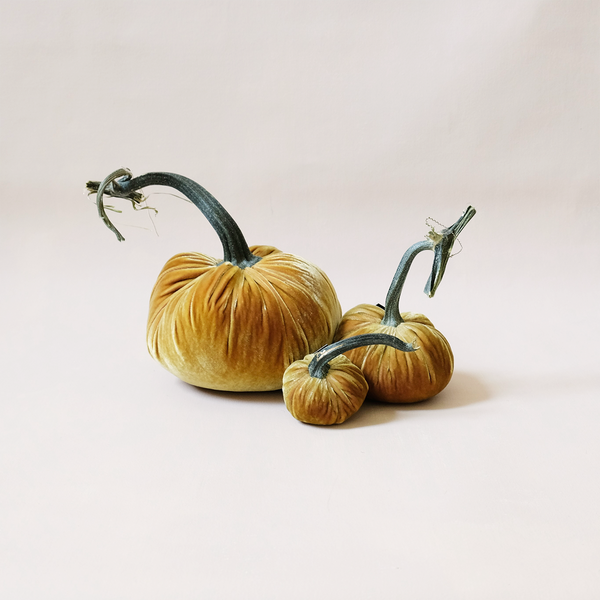 Silk Velvet Pumpkin Creamed Corn