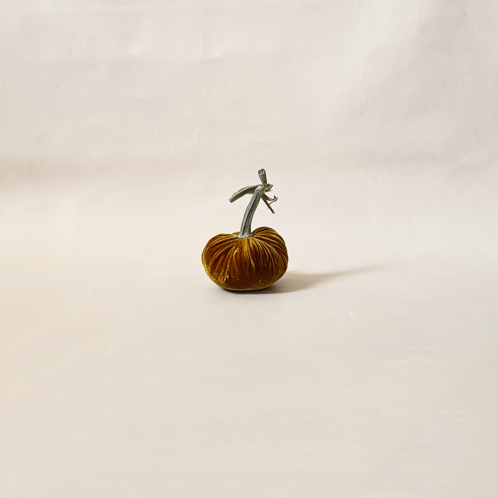 Silk Velvet Pumpkin D'Or