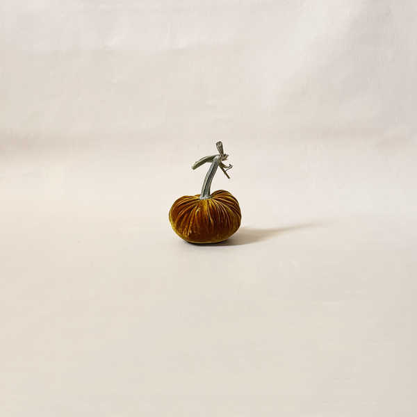 Silk Velvet Pumpkin D'Or