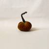 Silk Velvet Pumpkin D'Or