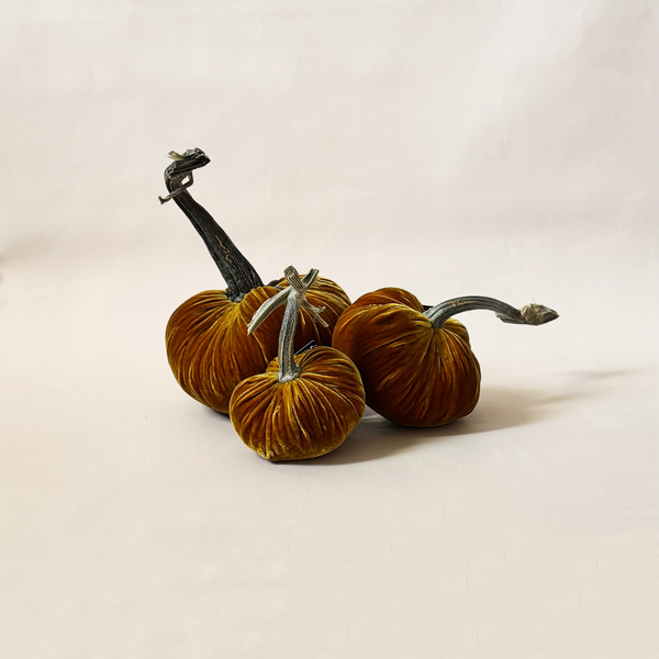 Silk Velvet Pumpkin D'Or