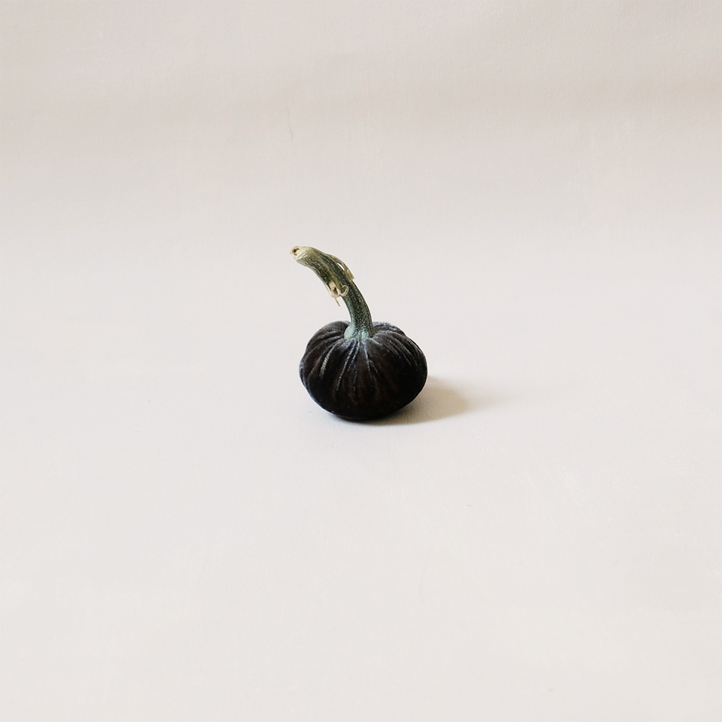 Silk Velvet Pumpkin Graphite