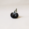 Silk Velvet Pumpkin Graphite