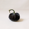 Silk Velvet Pumpkin Graphite