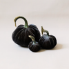 Silk Velvet Pumpkin Graphite