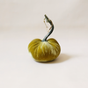 Silk Velvet Pumpkin Leaf