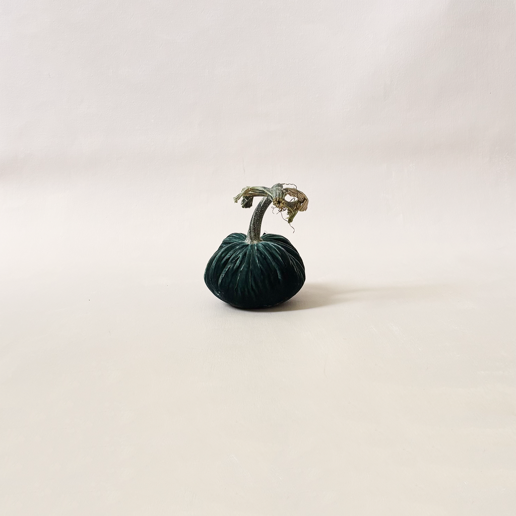 Silk Velvet Pumpkin Ocean