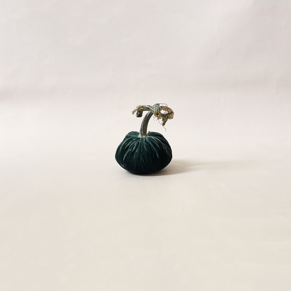 Silk Velvet Pumpkin Ocean