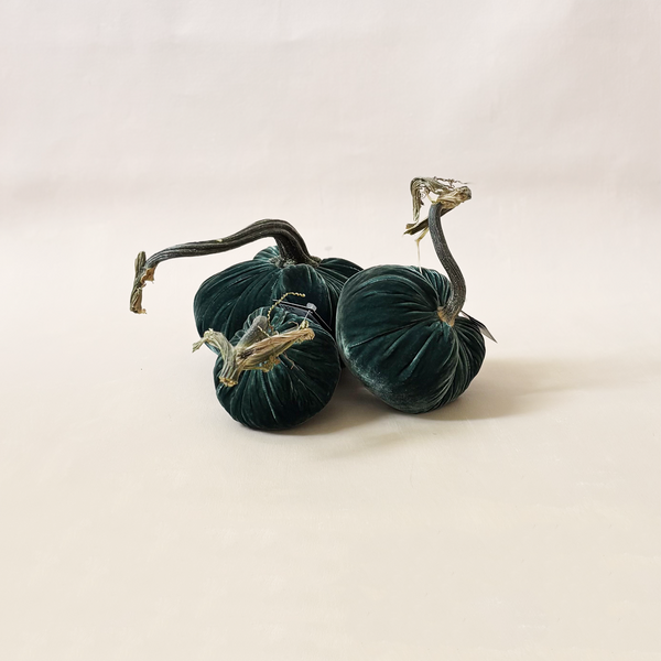 Silk Velvet Pumpkin Ocean