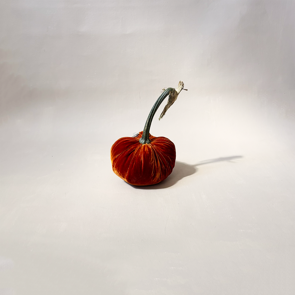 Silk Velvet Pumpkin Persimmon