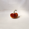 Silk Velvet Pumpkin Persimmon