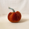 Silk Velvet Pumpkin Persimmon