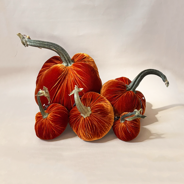 Silk Velvet Pumpkin Persimmon