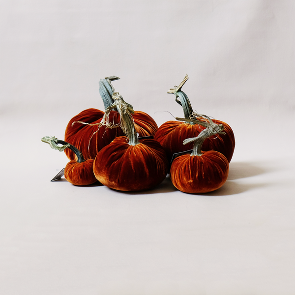 Silk Velvet Pumpkin Persimmon