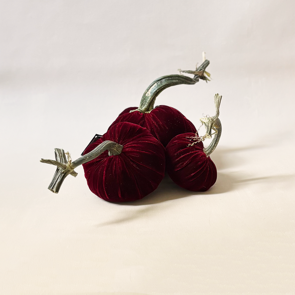 Silk Velvet Pumpkin Pomegranate