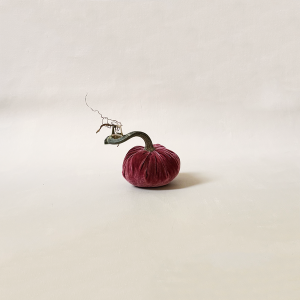 Silk Velvet Pumpkin Rhubarb