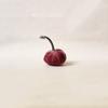 Silk Velvet Pumpkin Rhubarb