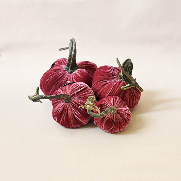 Silk Velvet Pumpkin Rhubarb