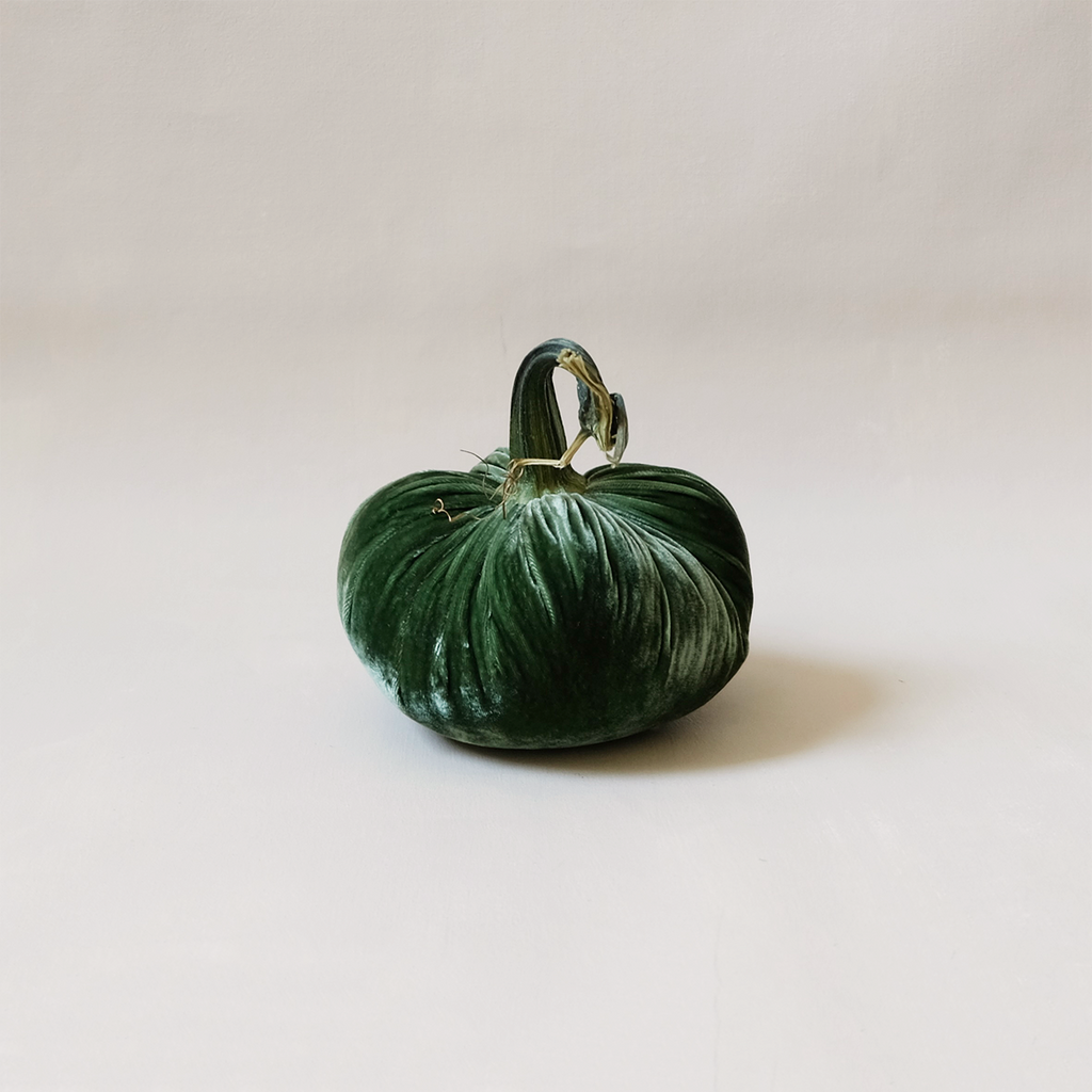 Silk Velvet Pumpkin Sage