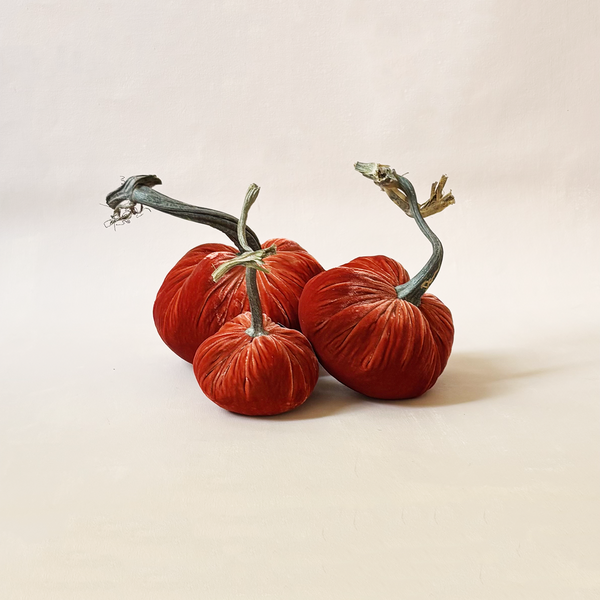 Silk Velvet Pumpkin Salmon