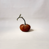 Silk Velvet Pumpkin Spice