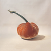 Silk Velvet Pumpkin Spice