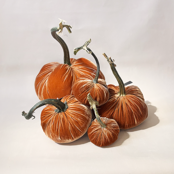 Silk Velvet Pumpkin Spice