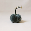 Silk Velvet Pumpkin Willow