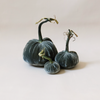 Silk Velvet Pumpkin Willow