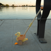 Duck Push Toy