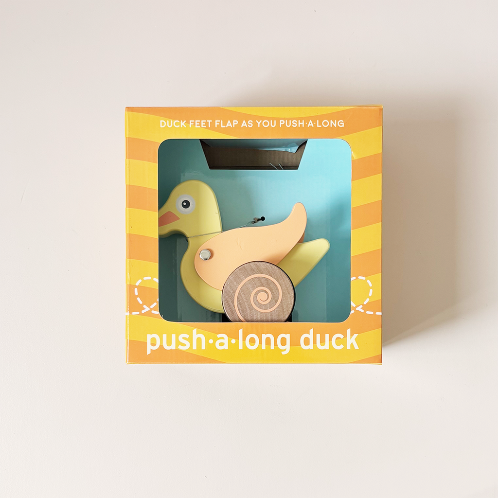 Duck Push Toy