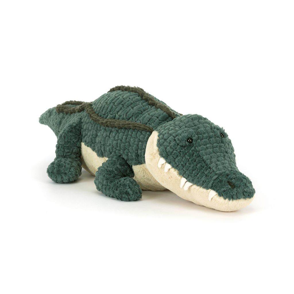 Allexi Alligator