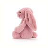 Bashful Bunny Tulip