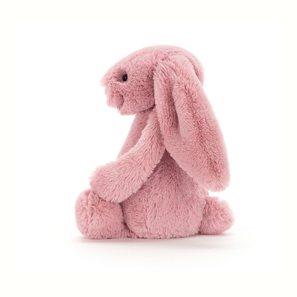 Bashful Bunny Tulip