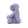 Bashful Bunny Viola