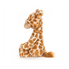 Bashful Giraffe