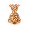Bashful Giraffe