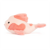 Fancy Carp