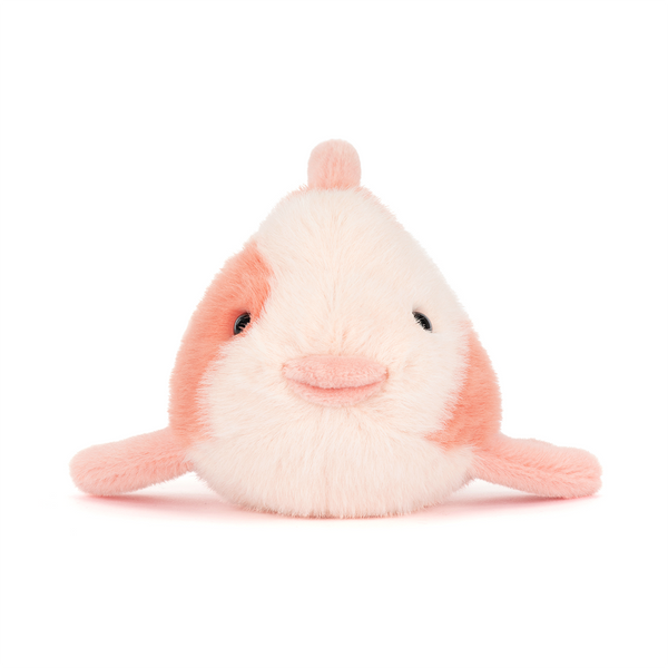 Fancy Carp